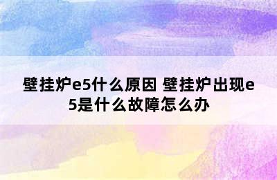 壁挂炉e5什么原因 壁挂炉出现e5是什么故障怎么办